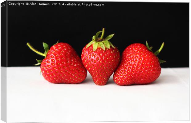 Strawberries On Black Over White Canvas Print by Alan Harman