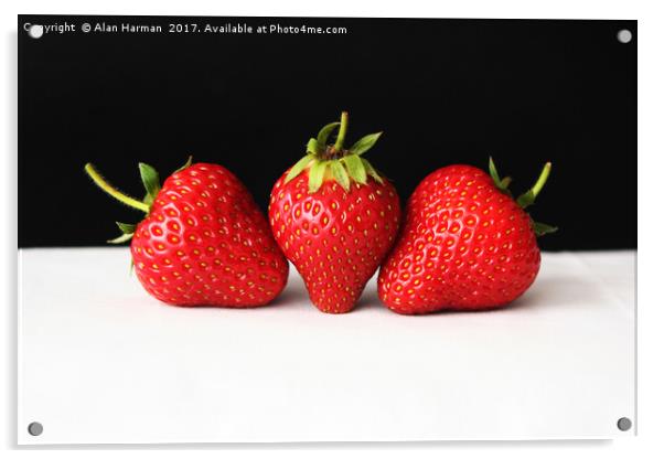 Strawberries On Black Over White Acrylic by Alan Harman