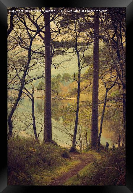 Loch Eck, Argyll, Scotland Framed Print by Sally Morningstar