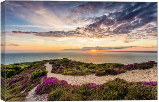 Headon Hill Sunset #3 Canvas Print by Wight Landscapes