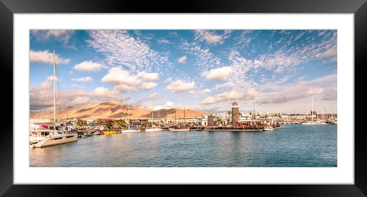 Waterbus Marina View Framed Mounted Print by Naylor's Photography