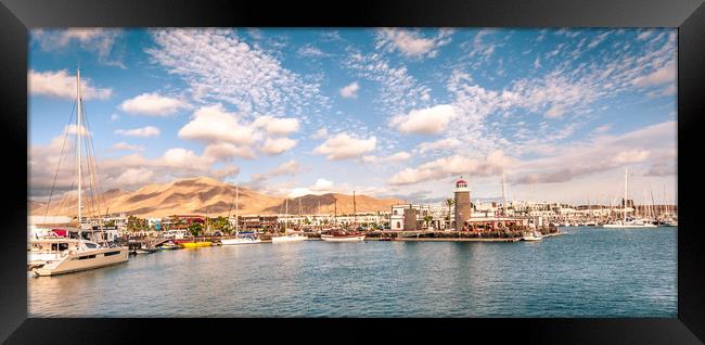 Waterbus Marina View Framed Print by Naylor's Photography