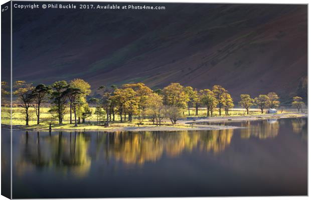 Afternoon Light on Buttermere Canvas Print by Phil Buckle