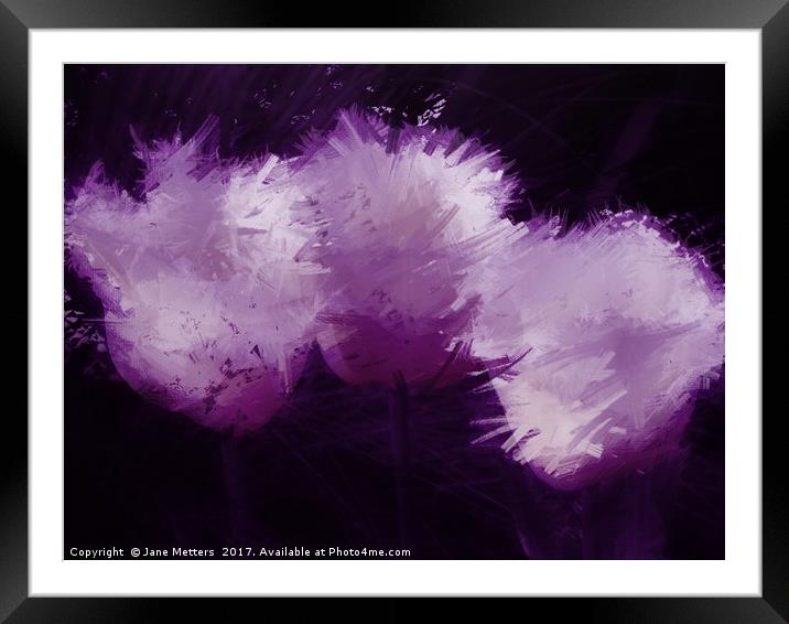 Lilac Tulips Framed Mounted Print by Jane Metters