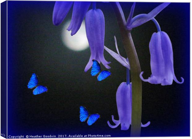 Bluebells and Butterflies Canvas Print by Heather Goodwin