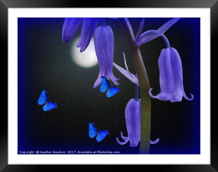 Bluebells and Butterflies Framed Mounted Print by Heather Goodwin