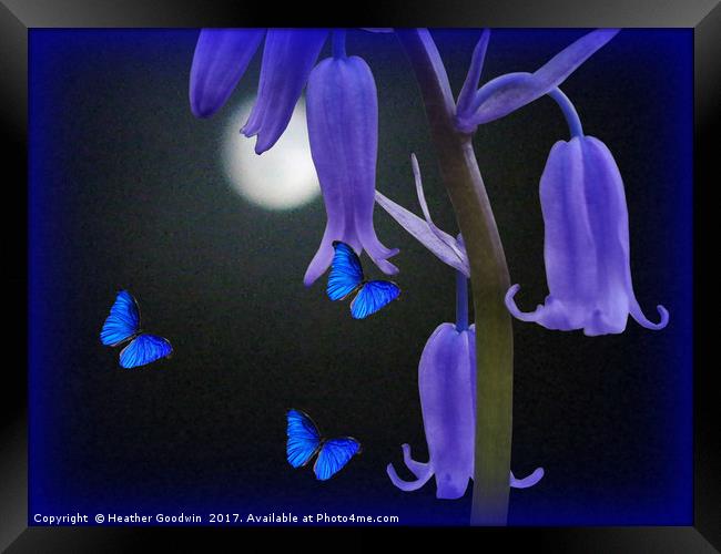 Bluebells and Butterflies Framed Print by Heather Goodwin