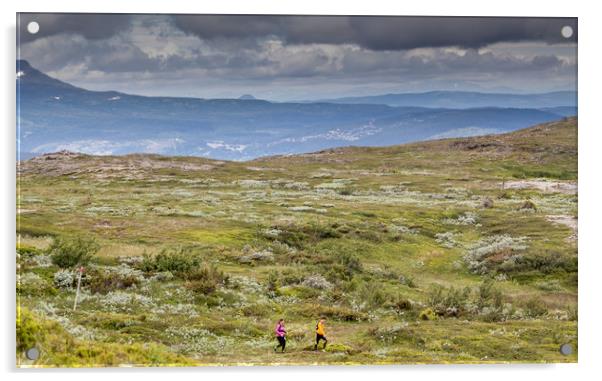 trail running Acrylic by Hamperium Photography