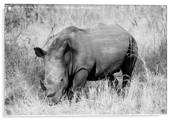 White rhino grazing (mono) Acrylic by Angus McComiskey