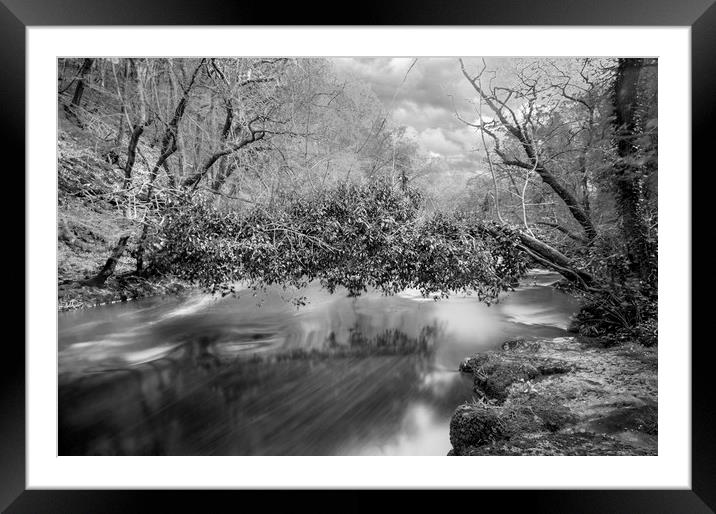 Motion and stillness combined Framed Mounted Print by Owen Bromfield