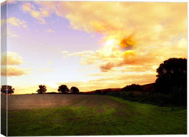 herefordshire country scene Canvas Print by paul ratcliffe