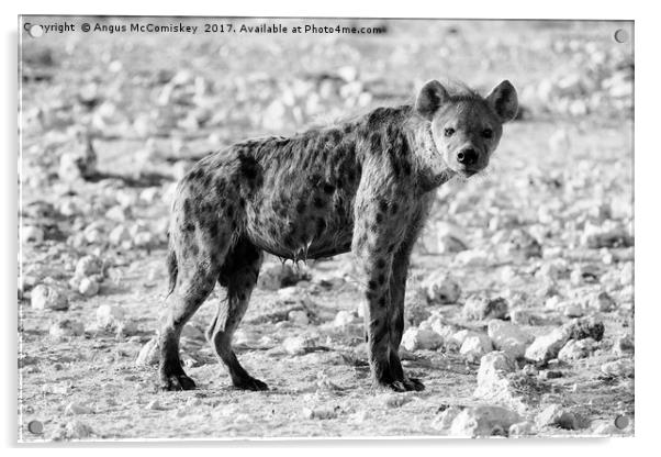Wet hyena Acrylic by Angus McComiskey