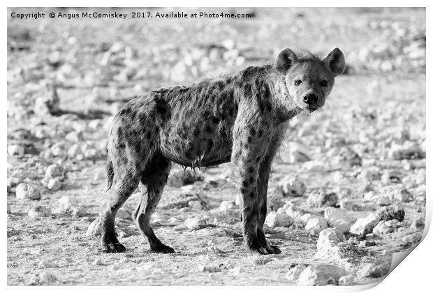Wet hyena Print by Angus McComiskey