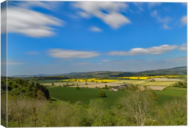 herefordshire landscape Canvas Print by paul ratcliffe