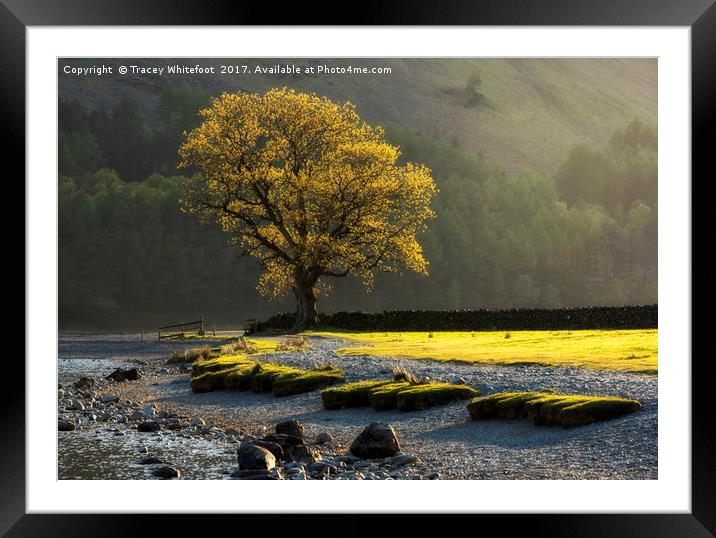 Buttermere Light  Framed Mounted Print by Tracey Whitefoot