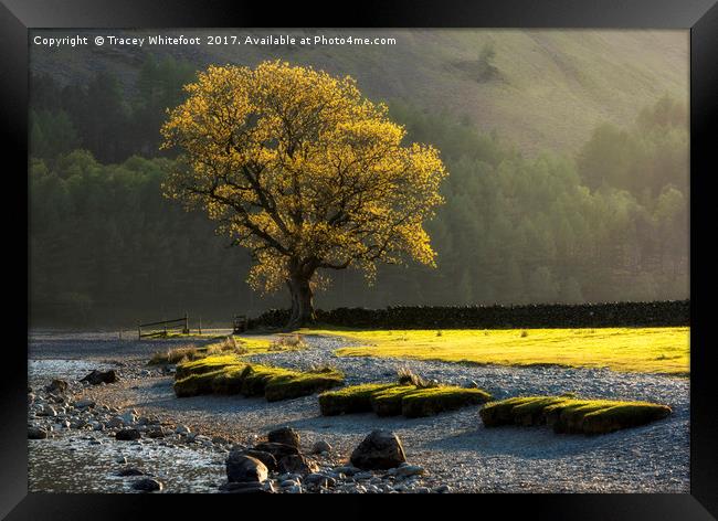 Buttermere Light  Framed Print by Tracey Whitefoot