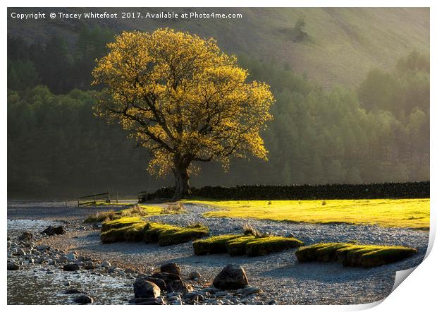 Buttermere Light  Print by Tracey Whitefoot