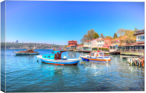 The Bosphorus Istanbul Canvas Print by David Pyatt