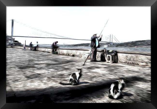 Fishermen And Cats Istanbul Art Framed Print by David Pyatt