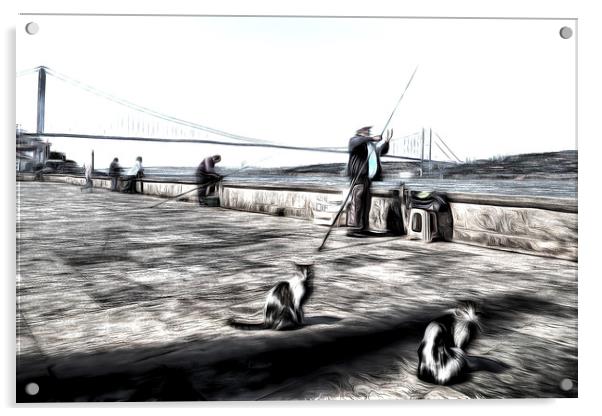 Fishermen And Cats Istanbul Art Acrylic by David Pyatt