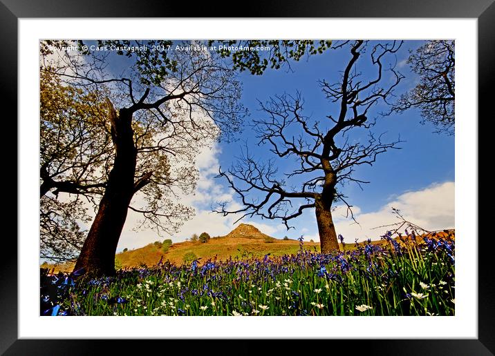 Magical Bluebell Wood Framed Mounted Print by Cass Castagnoli