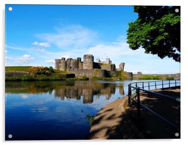 Caerphilly Castle                                Acrylic by Jane Metters
