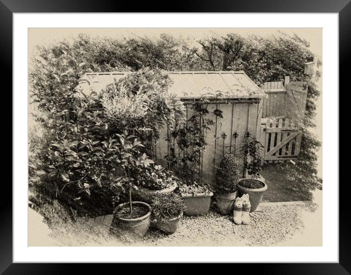 The potting shed Framed Mounted Print by Henry Horton