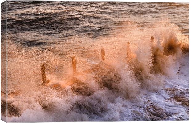 Boiling Water Canvas Print by Stephen Mole