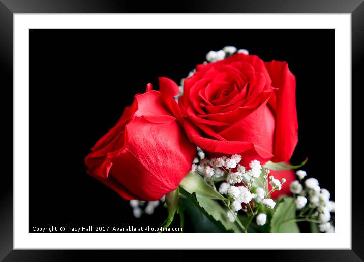 My Mothers Day Roses Framed Mounted Print by Tracy Hall