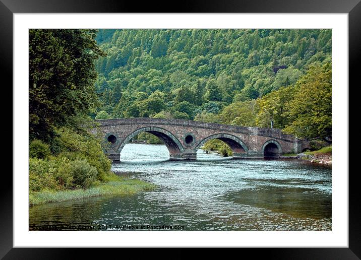 Kenmore Bridge Framed Mounted Print by Tom Gomez