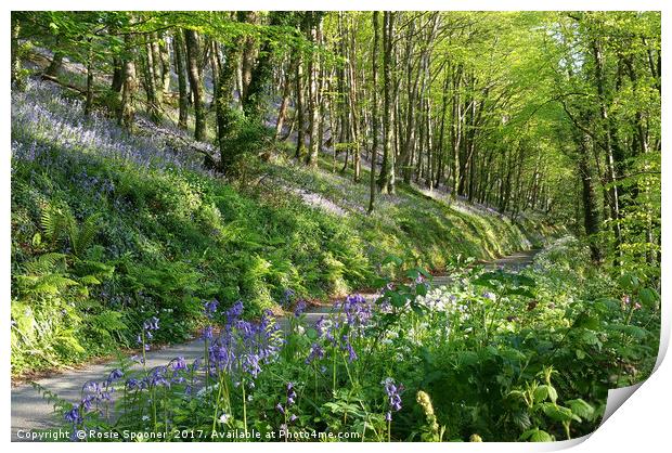 Road through the Bluebell Wood Print by Rosie Spooner