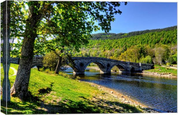 The Bridge at Kenmore Canvas Print by Tom Gomez