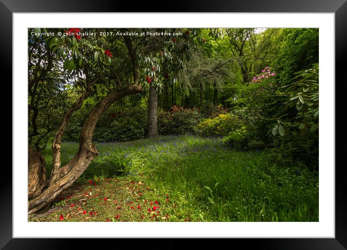 Leafy shady Bower in Stourhead Gardens, Wiltshire Framed Mounted Print by colin chalkley