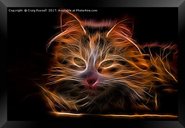 Electric effect Glowing Cat Framed Print by Craig Russell