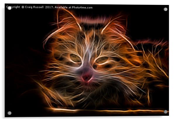 Electric effect Glowing Cat Acrylic by Craig Russell