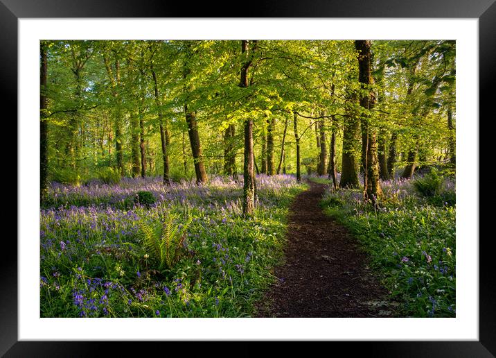 A glorious morning Framed Mounted Print by Michael Brookes