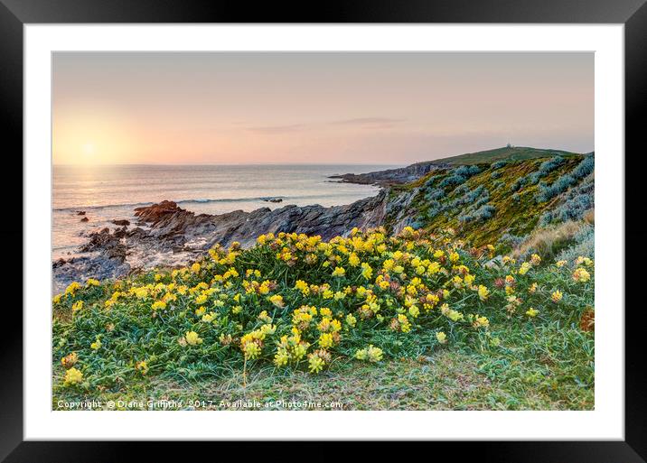 Towan Headland and Little Fistral Framed Mounted Print by Diane Griffiths