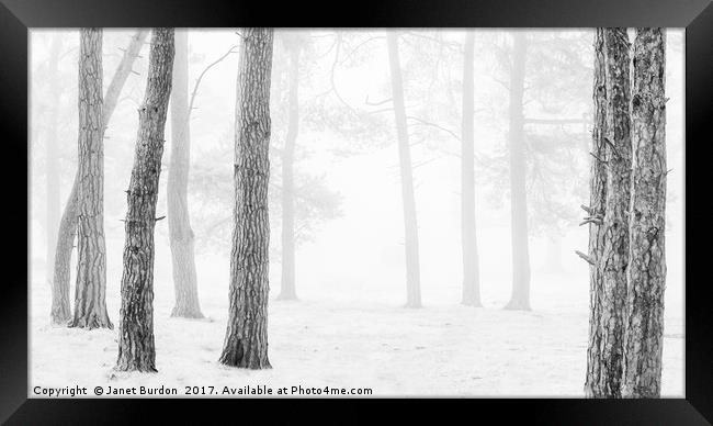 Winter Woodland Framed Print by Janet Burdon