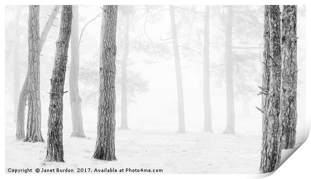Winter Woodland Print by Janet Burdon