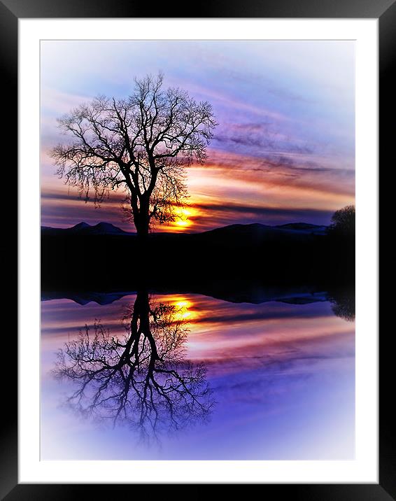 The Tree Of Reflections Framed Mounted Print by Aj’s Images