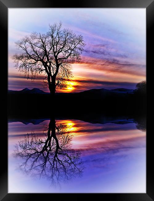 The Tree Of Reflections Framed Print by Aj’s Images