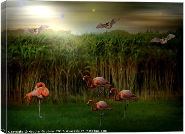 Resting Flamingos. Canvas Print by Heather Goodwin