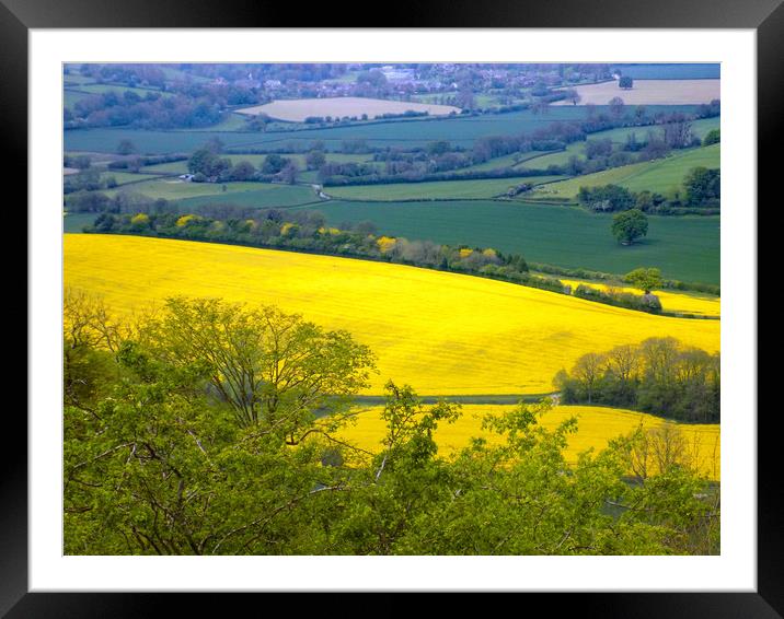 rapeseed landscape herefordshire Framed Mounted Print by paul ratcliffe