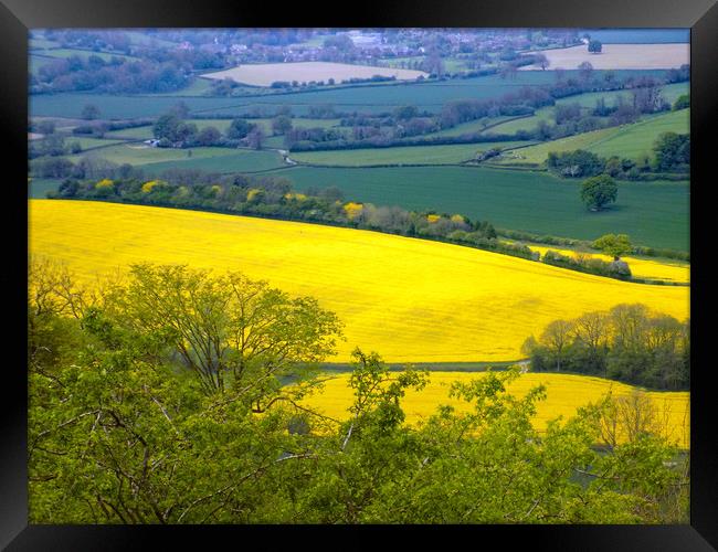 rapeseed landscape herefordshire Framed Print by paul ratcliffe