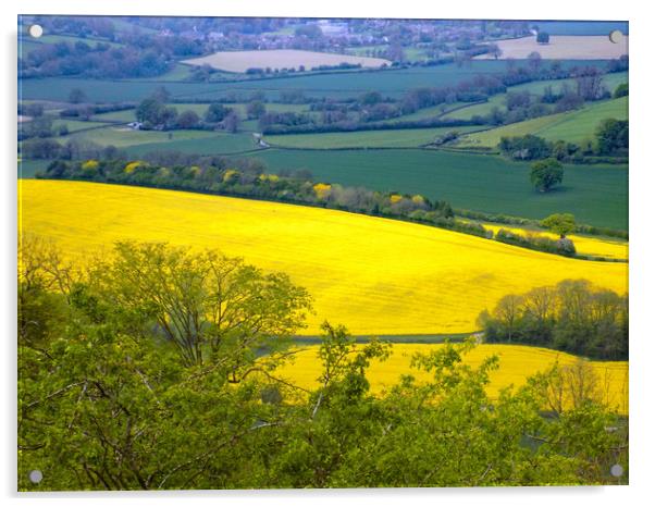 rapeseed landscape herefordshire Acrylic by paul ratcliffe
