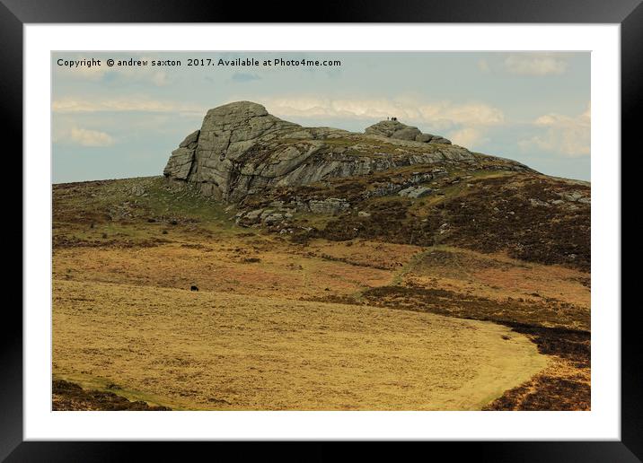 DARTMOOR ROCK Framed Mounted Print by andrew saxton
