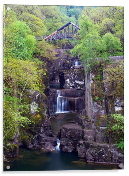 Bracklin Falls, near Callander, Scotland. Acrylic by Tommy Dickson