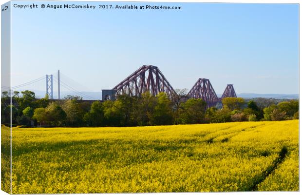 Rapeseed field with three bridges Canvas Print by Angus McComiskey