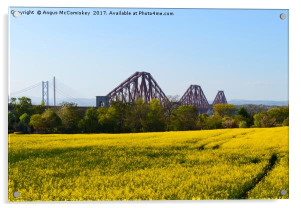 Rapeseed field with three bridges Acrylic by Angus McComiskey