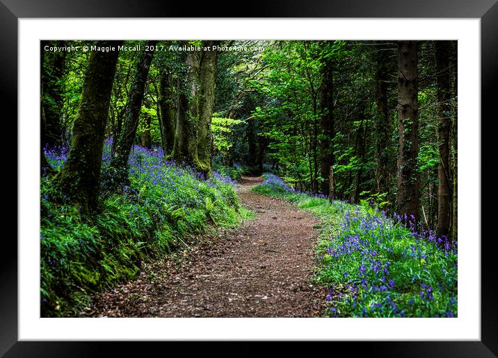 A Walk in the Bluebell woods Framed Mounted Print by Maggie McCall